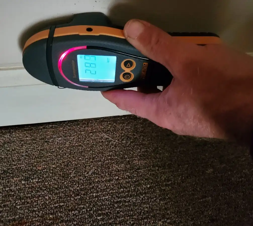 Moisture detection at baseboard during Sewage Cleanup & Sanitation in Kendallville